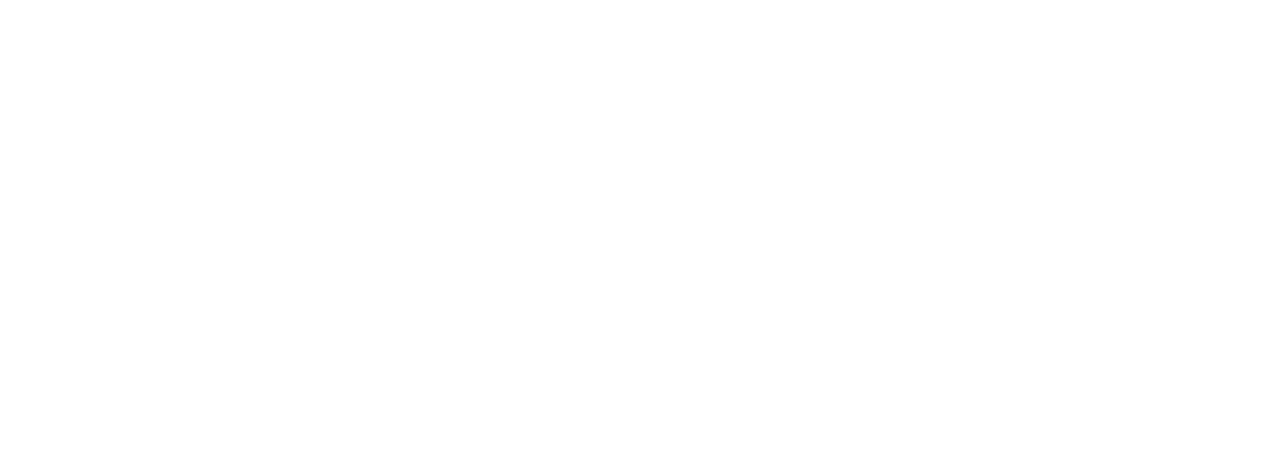 Zionsville Village Residents Association